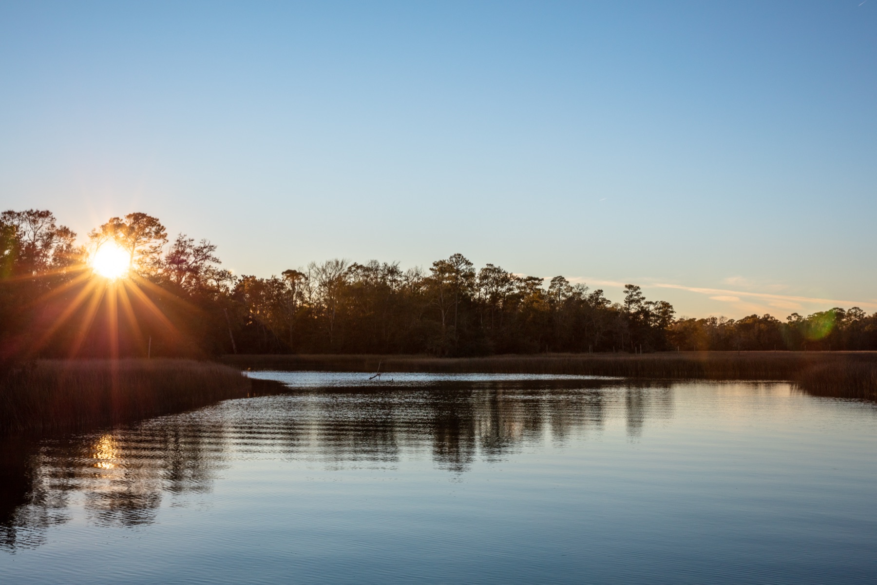 Sun rays beam through the trees as it sets over the bayou.