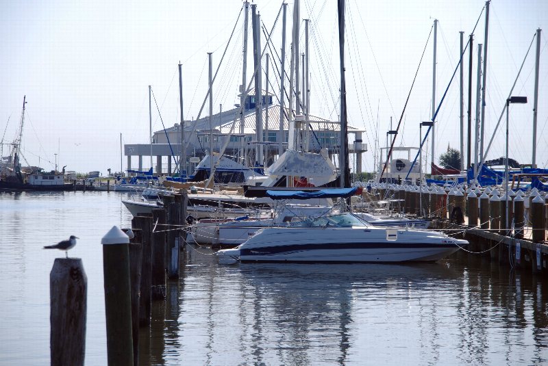 Sailboats docked in the harbor at Pass Christian.